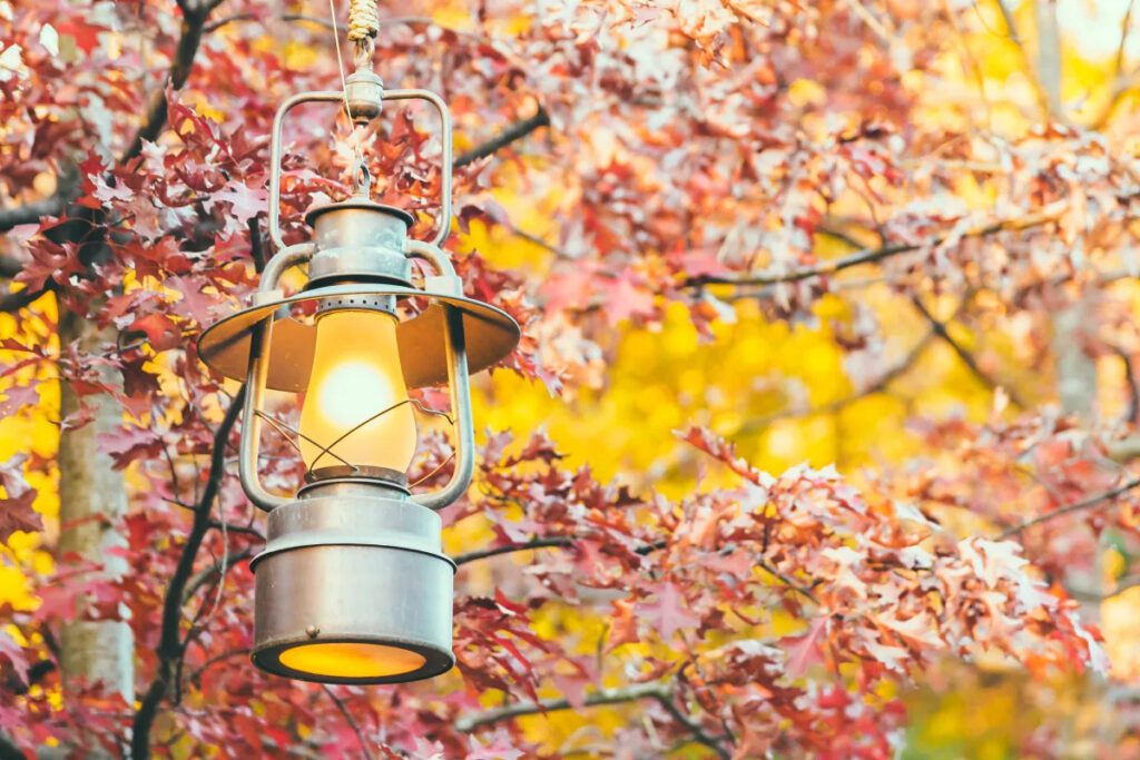 outdoor lighting services
